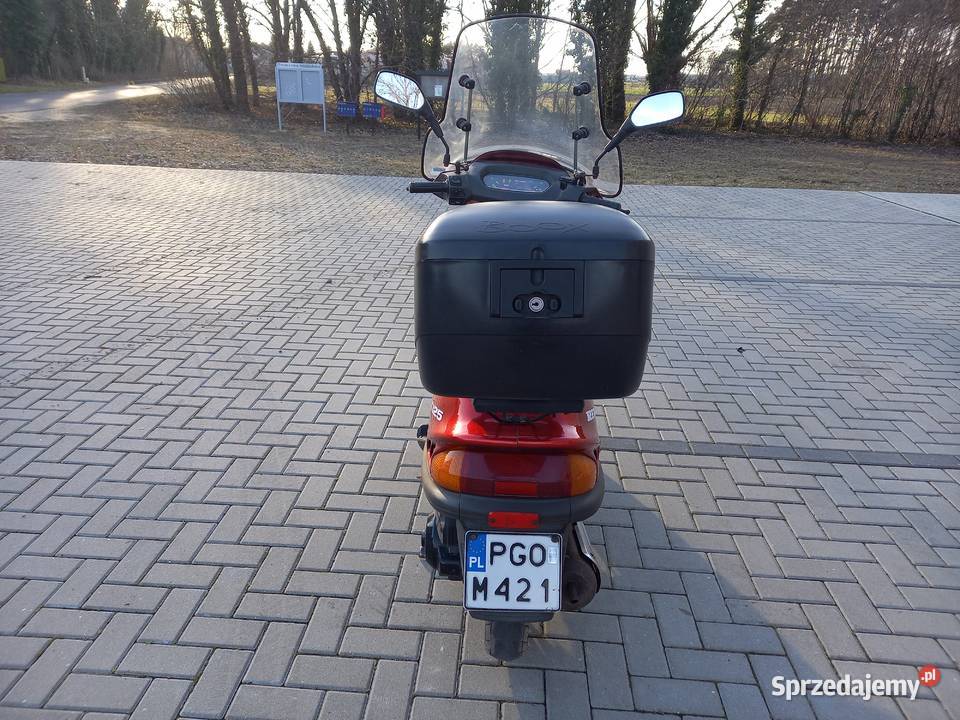 Rex Rexy 125 Pozostałe Rakoniewice