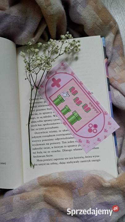 Zakładki Kultura i Rozrywka wielkopolskie Żelazków