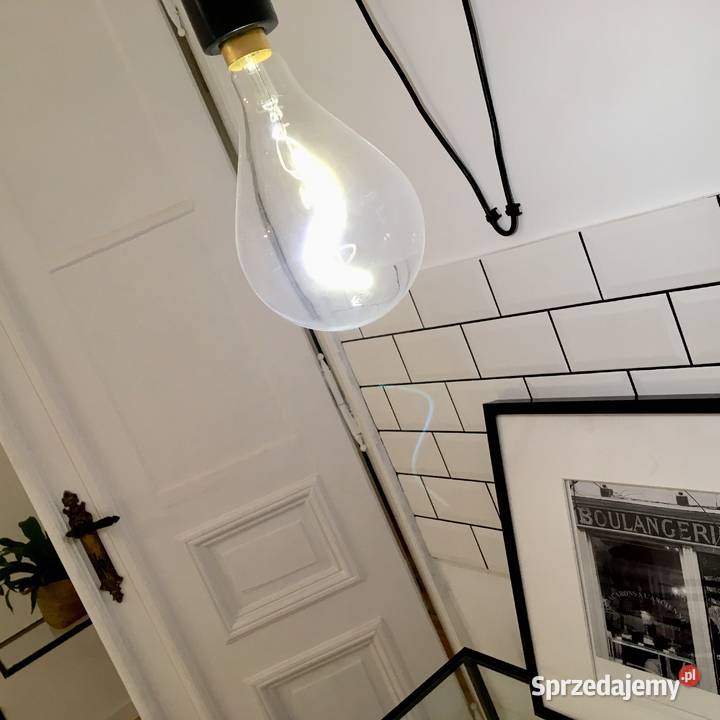 Piękne mieszkanie z ogródkiem w centrum Łodzi Łódź