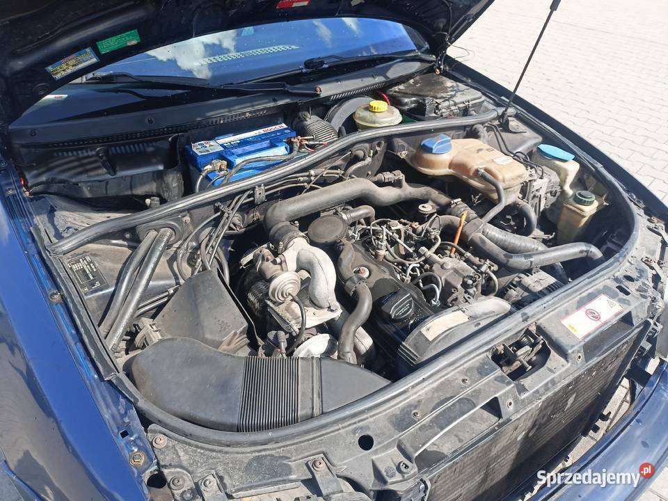 Audi A4 B5 Na części a19 LY5L osobowe Myszków