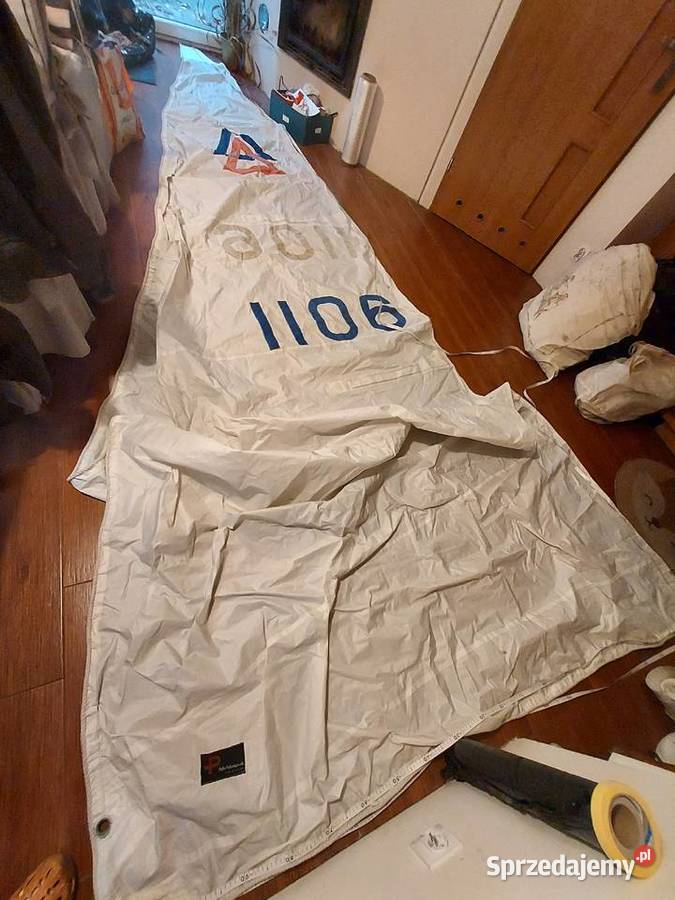 Zagiel Fok na raksy sprzedam