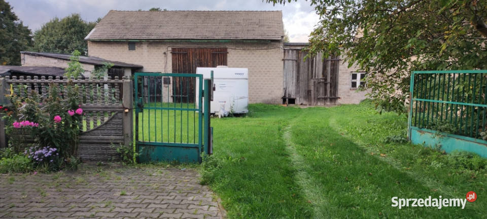 Dom z cegły z dużą działką budynki gospodarcze Nieruchomości Wojsławice