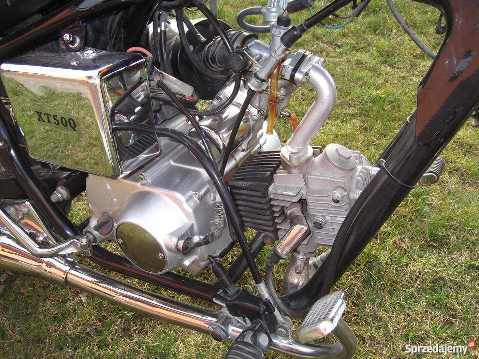 Kingway chopper 50 Jeglia