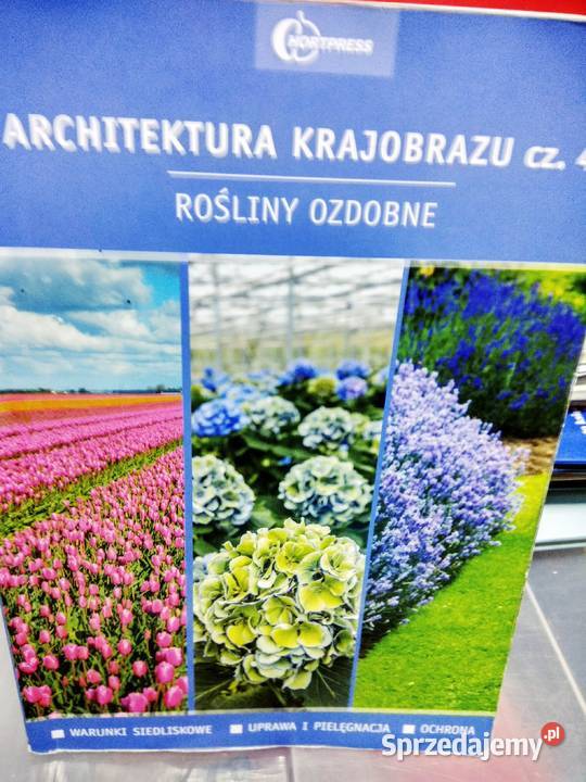 Architektura krajobrazu rośliny ozdobne Warszawa