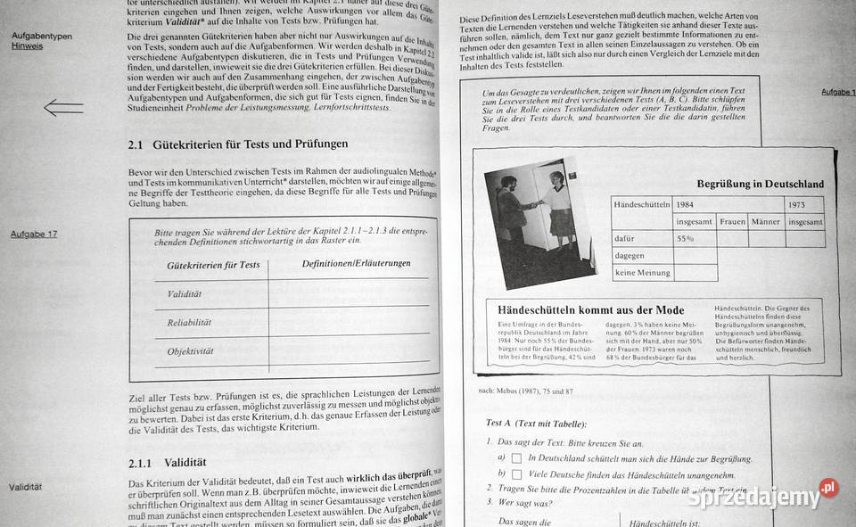 Testen und Prufen in der Grundstufe HansGeorg Chełm sprzedam