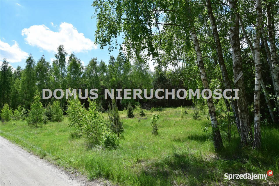 Sprzedaż działki 29000m2 Taurów prąd