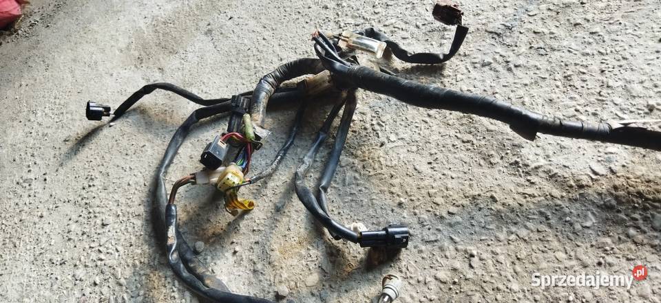 Oryginał moduł wiązka regulator przekaźnik świętokrzyskie Maruszów