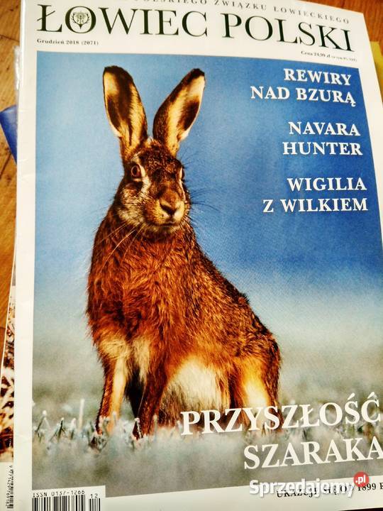 Czasopisma kolekcjonerskie Warszawa księgarnia