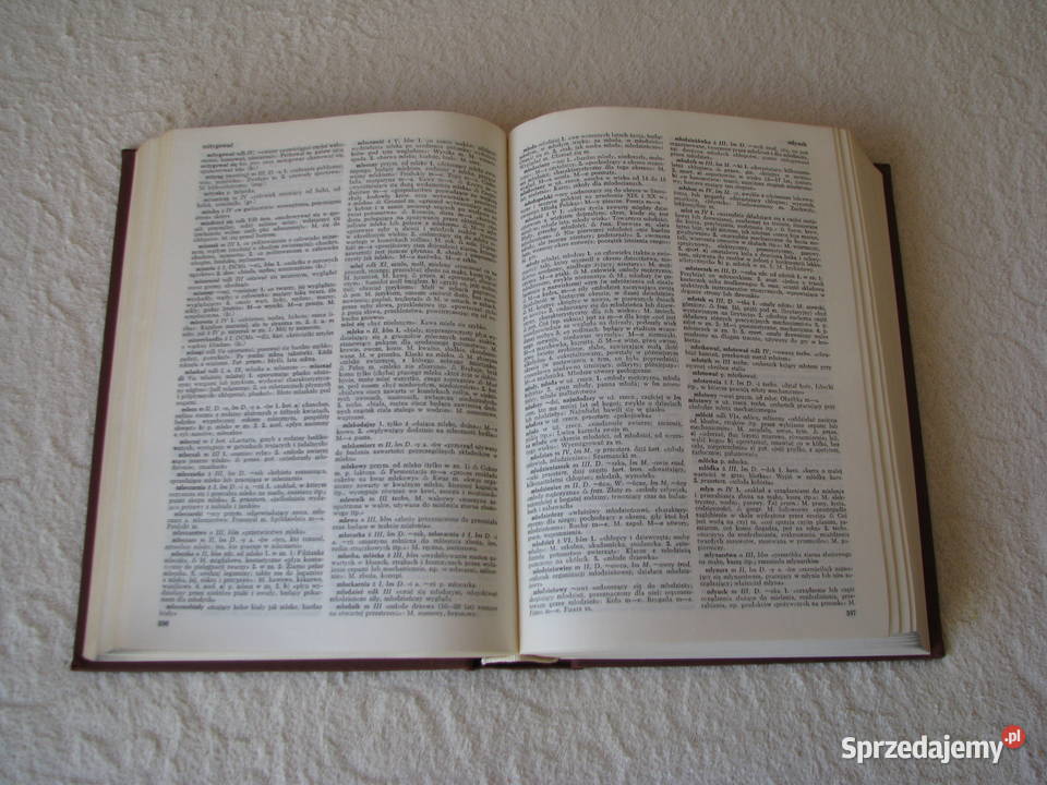 Mały Słownik Języka Polskiego PWN red Stanisław