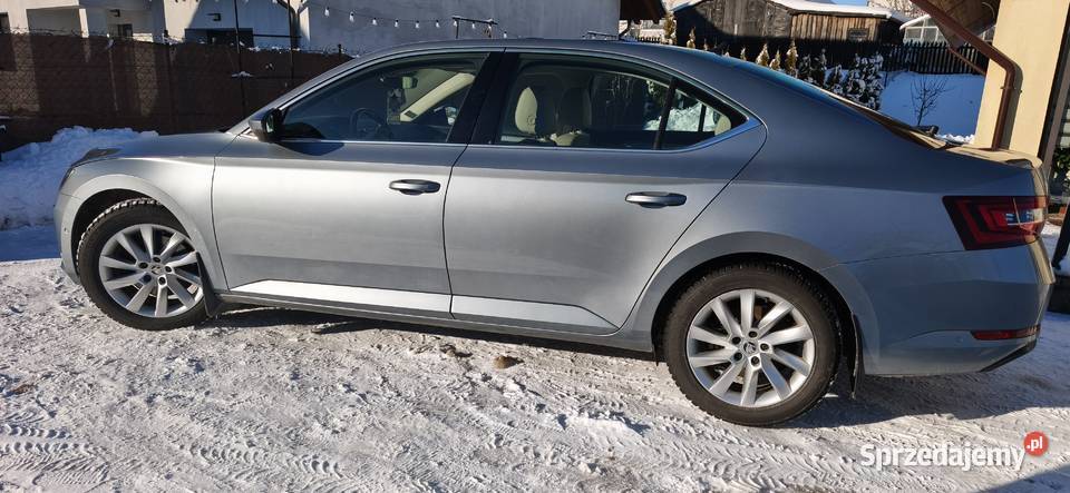 Polski salon skóry bogata wersja OC na DSG Gowino