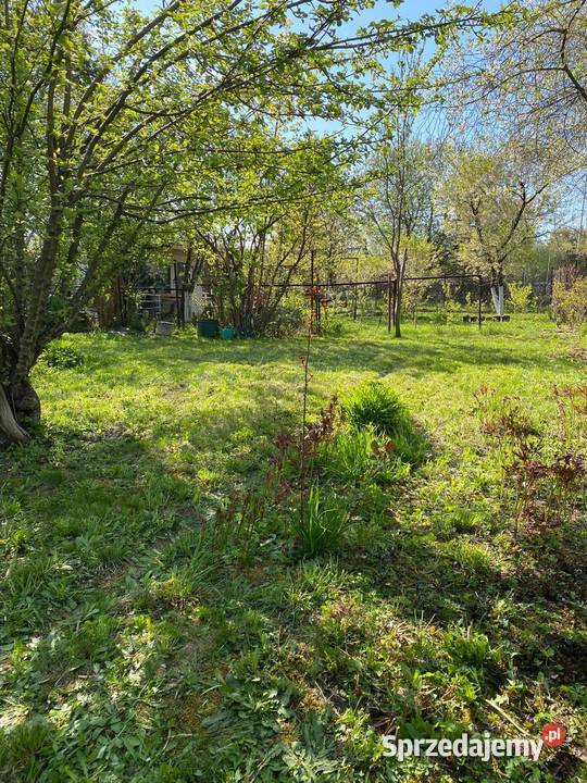 Działka ROD Katowice Jedność 300m2 śląskie
