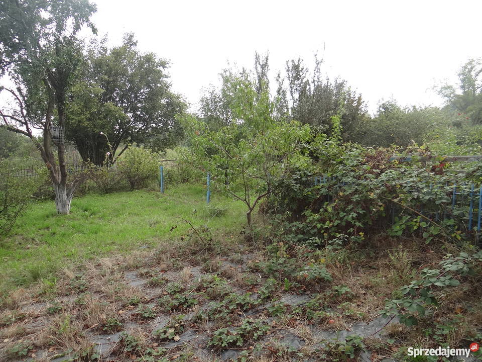 Ogródek działkowy 600m2 Kasprzaka OKAZJA Gorzów Wielkopolski