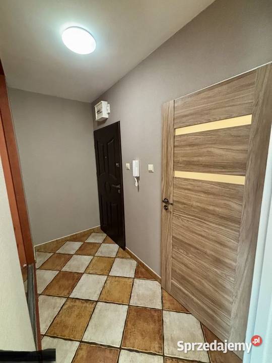 1pok 35met Zagrodniczej BALKON2004 Wrocław 14000zł/m2 sprzedam