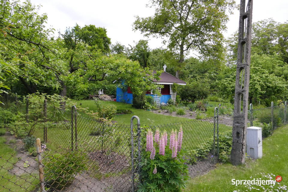 Ogródek działkowy Warszawa Ochota sprzedam