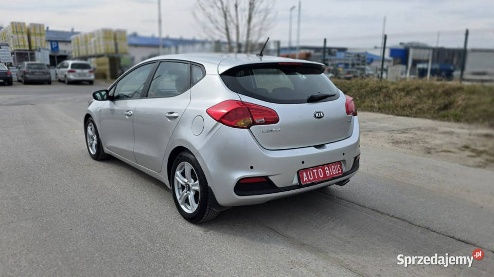 Kia Ceed klima zarejestrowana salon polska LEDY pomorskie
