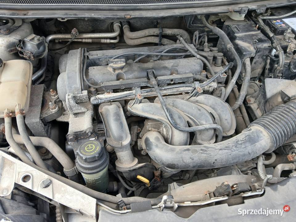 Ford focus model 2006 16benzsalon polska dlugie Bydgoszcz