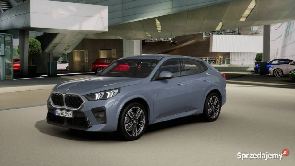BMW X2 X2 sDrive20i U10 2023 X2