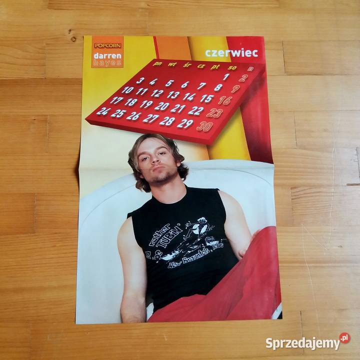 Plakat Nelly Darren Hayes 2002 Pozostałe Łódź