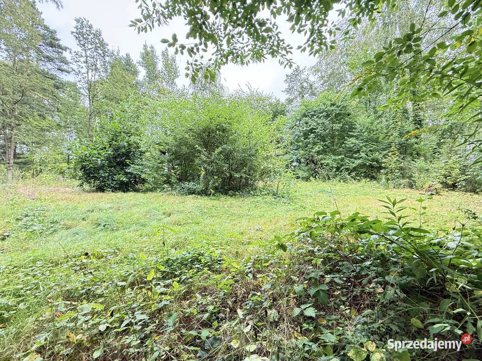 Działka budowlana w Rosanowie wz pozwolenie na Rosanów