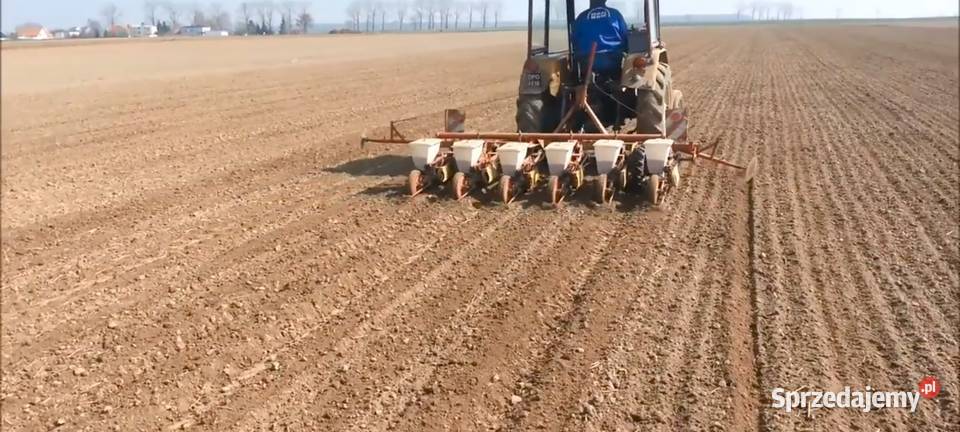 Siewnik do buraków gamma Kędzierzyn-Koźle