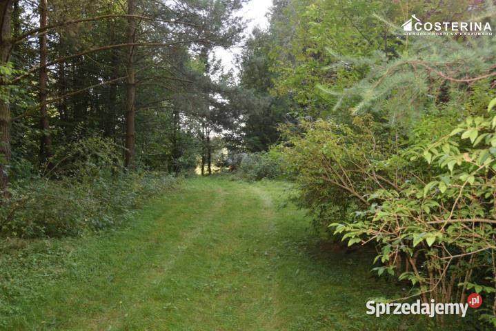 sprzedaży domu wolnostojącego Gołubie 80m2 wolnostojący