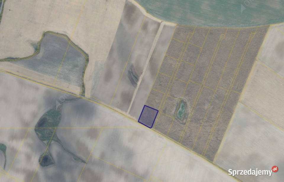 Działka 7157 w miejscowości Młodasko sprzedam