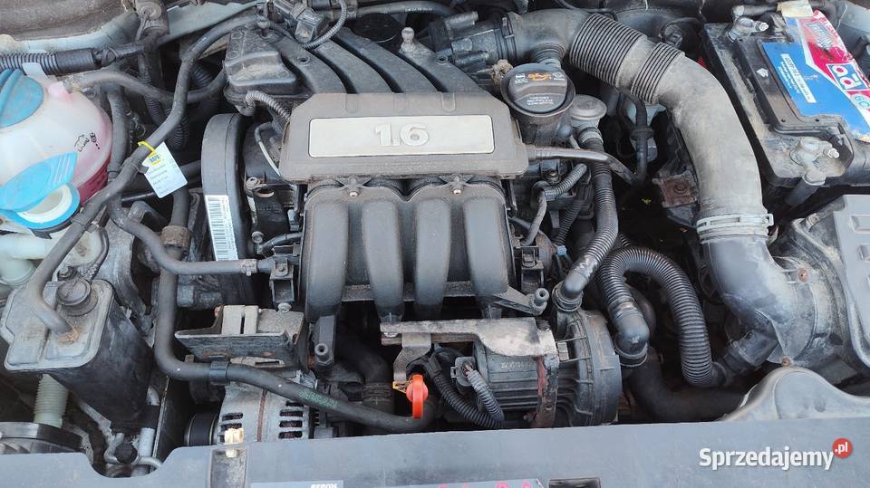 Seat Altea welurowa tapicerka Dębno sprzedam