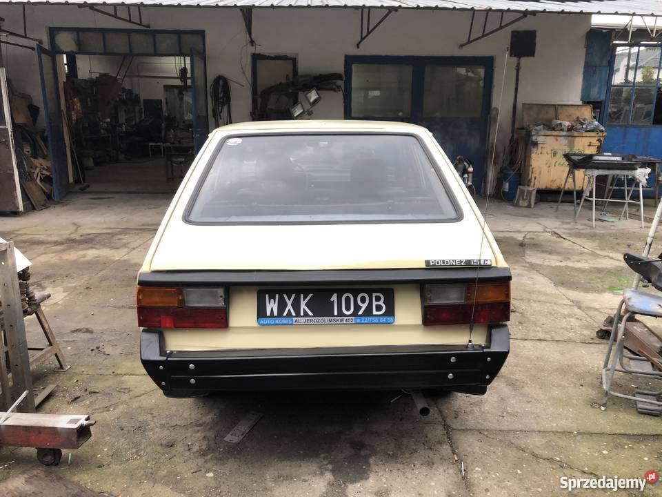 Polonez Borewicz