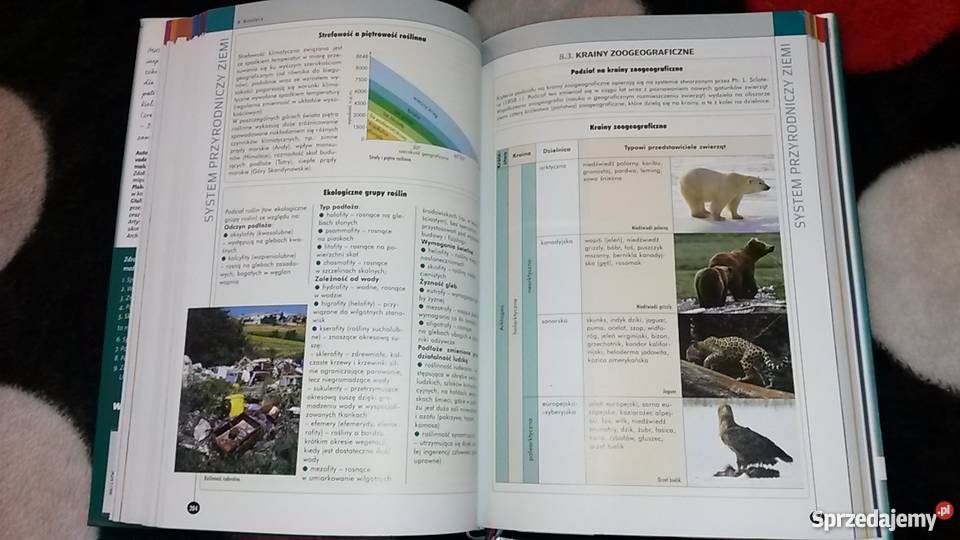 Matura 2014 Vademecum Geografia zakres kompendium, repetytorium, opracowanie Podręczniki Przedbórz