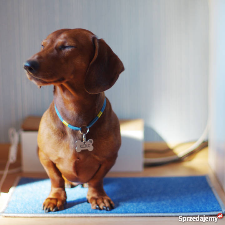 Mata grzewcza na podczerwień Elektryczne Lublin