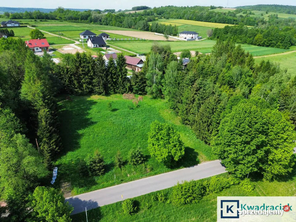 Grunt 4900m2 Zręcin Konopnickiej