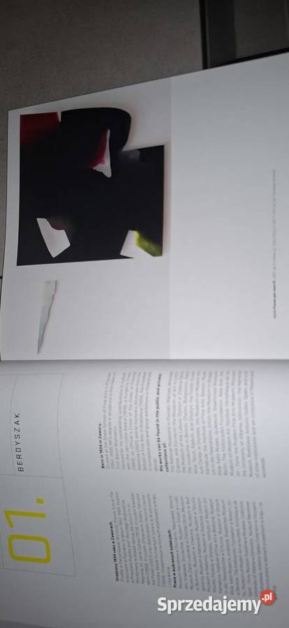 Visual Interview 01 Dictionary of Artists Poznań