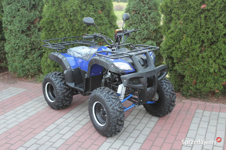 Quad 250 cc 4t Hammer Shinerau Bashan benzyna Goleniów