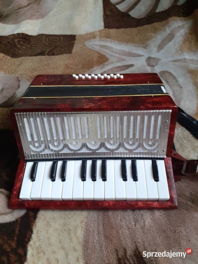 AKORDEON MAŁY