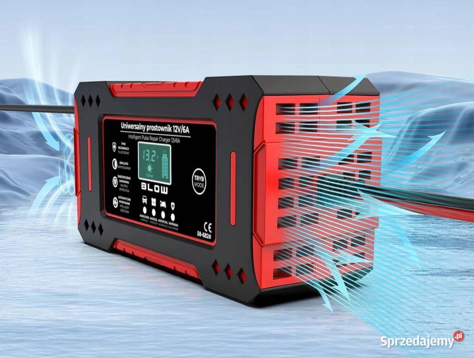PROSTOWNIK Automatyczny Inteligentny Ładowarka
