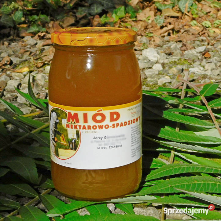 Polski prawdziwy miód nektarowospadziowy 2024 Kraków sprzedam