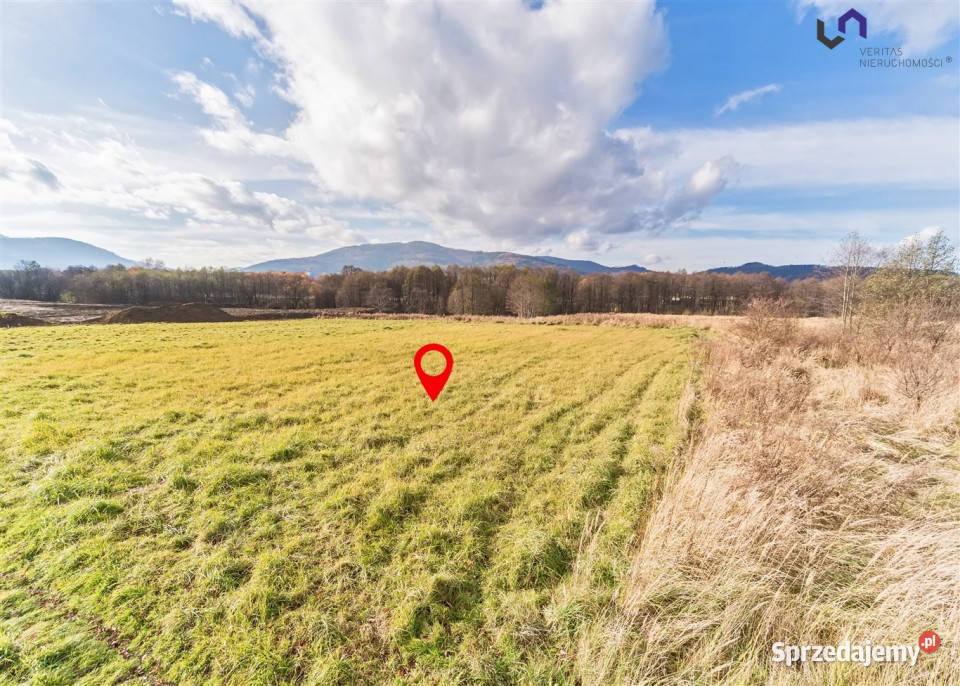 sprzedaży działki 1719m2 Wilkowice śląskie