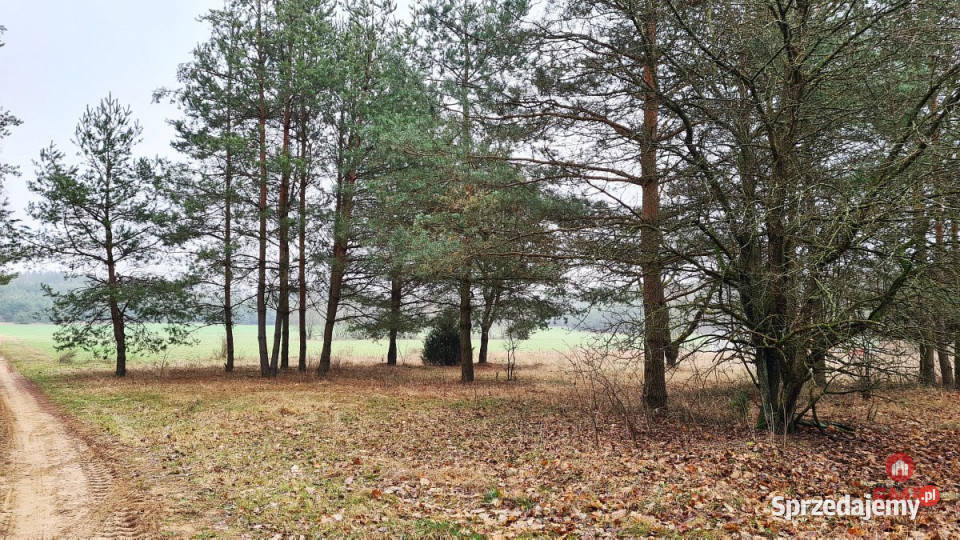 Grunt Pieńki 1743m2