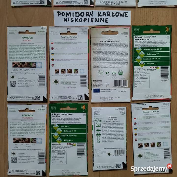 Sadzonki flance pomidorów Wrocław