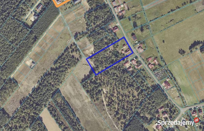 Dom budynki gospodarcze wydane WZ i prywatny las 5494zł/m2 Nowa Wieś