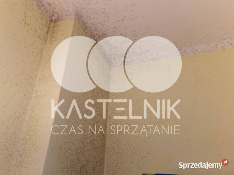 Odgrzybianie ścian Kołobrzeg Kastelnik Usuwanie Osuszanie i odgrzybianie