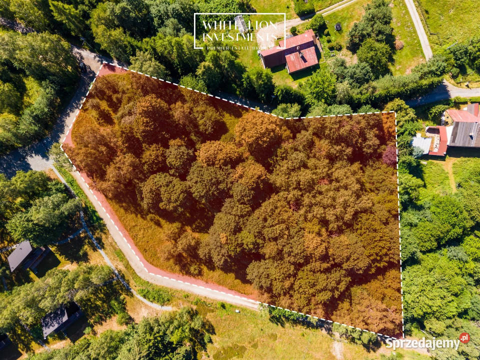 Grunt 2996m2 Studzienno dolnośląskie
