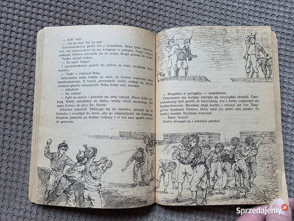 Chłopcy z Placu Broni Ferenc Molnr małopolskie Kraków