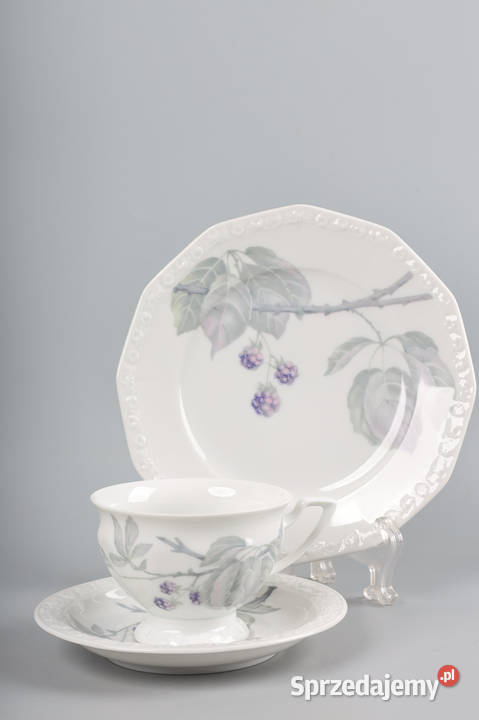 ARTexpert Rosenthal maria filiżanka jeżyna Szczecin