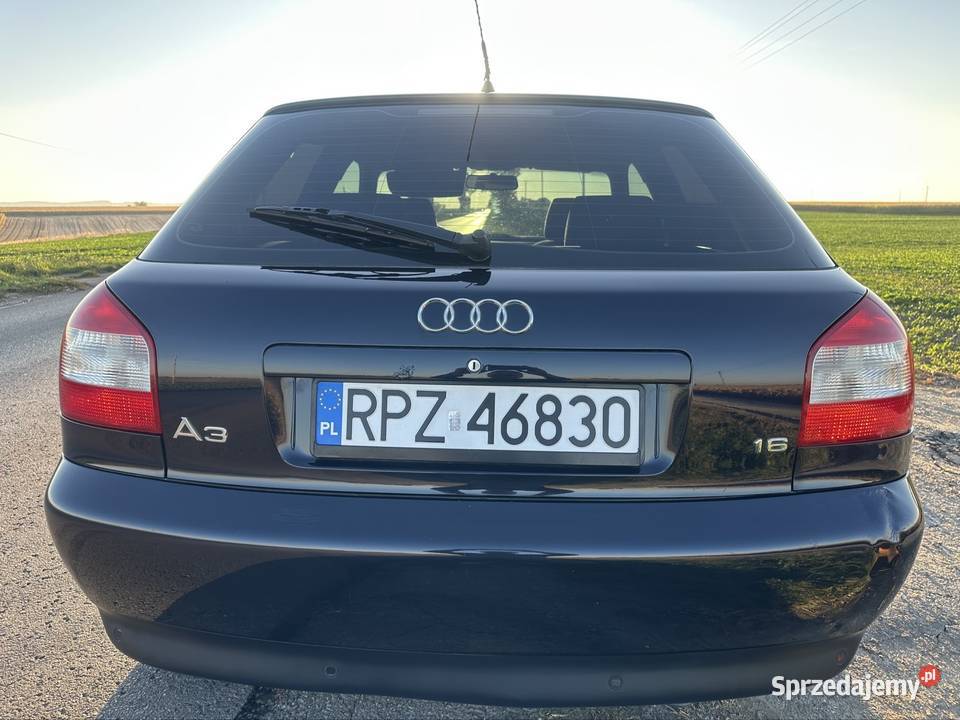 Audi A3 8L Lift 16 MPi 102 2002 z Niemiec Przeworsk