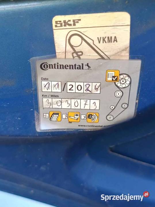 Ładny Golfik V Golf Kruszwica