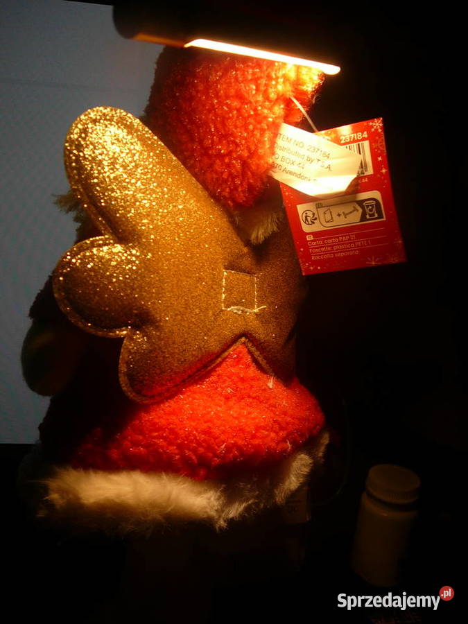 Aniołek Nowy 35 Belgia sprzedam