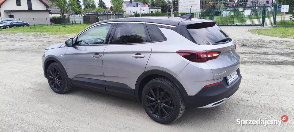 Opel grandland x Ostrów Wielkopolski