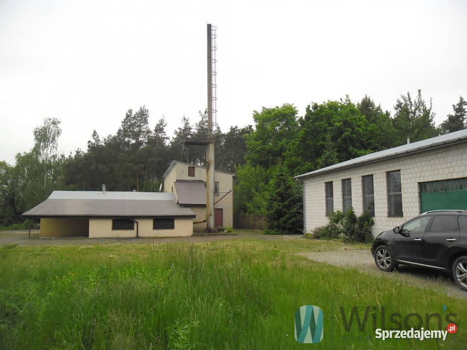 Lokal Dobrut Ilość pomieszczeń 6 sprzedam