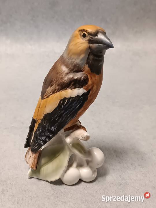 GOEBEL Ptak Grubodziób Hawfinch Kolekcjonerska Gdańsk